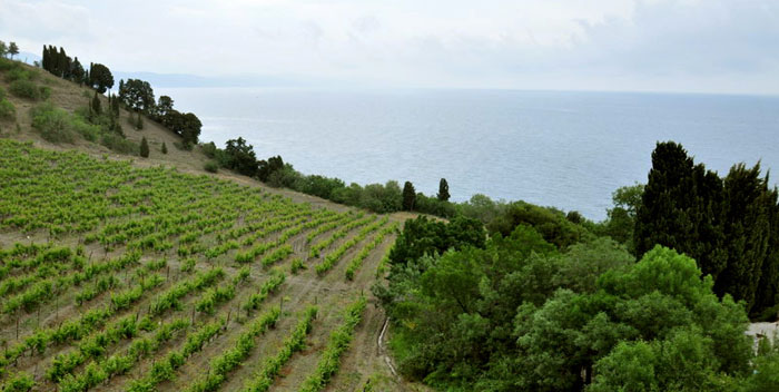 Профессорский уголок виллы - Александрия