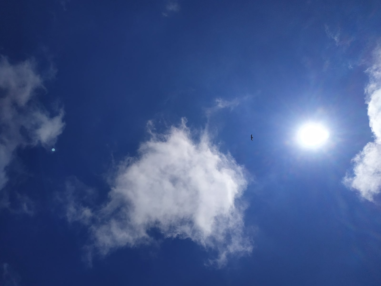 Приглашаем на отдыхе в июне в Алушту